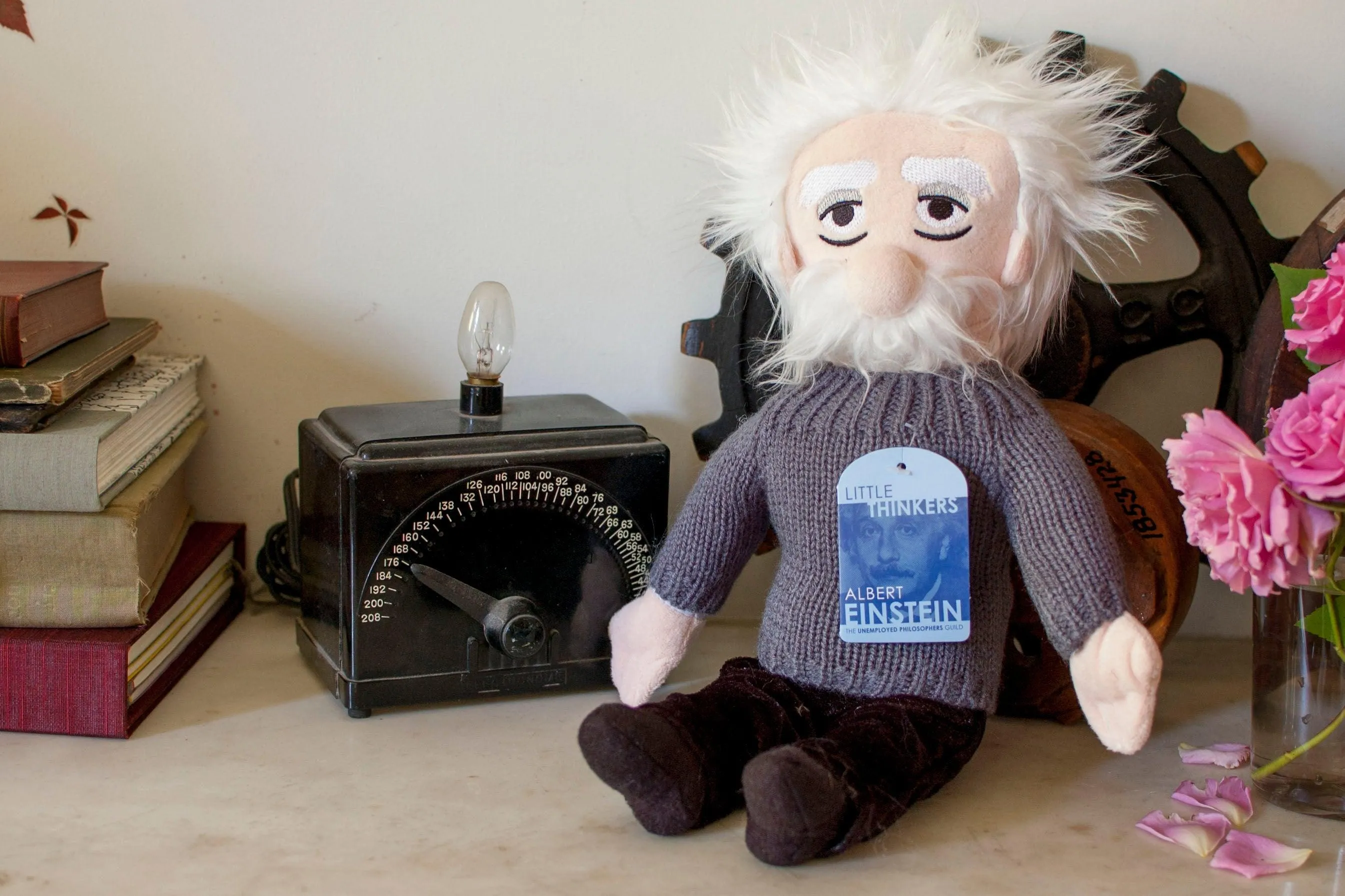 Albert Einstein Plush Doll