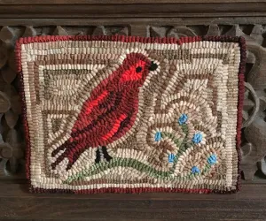 FINCH Rug Hooking Kit