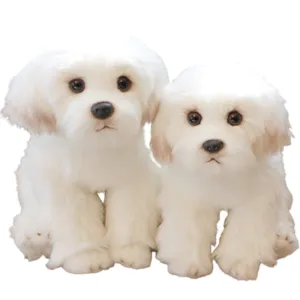 White Dog Stuffed Animal